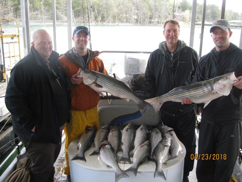 Nice Striped Bass